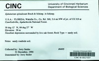 Dataset thumbnail: Ephemerum spinulosum / Bruch & Schimp.