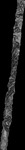 File thumbnail: Chiaps1_GLAS_l0s447_G1_0p33m_v1.tif