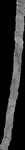 File thumbnail: Chiaps1_NFI_l2s468_G1_0p33m_v1.tif