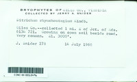 File thumbnail: CINC-B-0013496.jpg