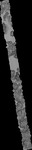 File thumbnail: Norte_GLAS_l1s427_G1_0p33m_v1.tif