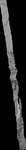 File thumbnail: Chiaps1_GLAS_l2s483_G1_0p33m_v1.tif