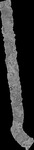 File thumbnail: North2_GLAS_l1s414_G1_0p33m_v1.tif