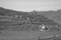 File thumbnail: DRAP_003_35.tif