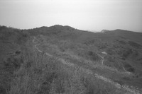 File thumbnail: DRAP_005_01.tif