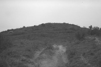 File thumbnail: DRAP_005_12.tif