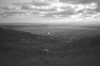 File thumbnail: DRAP_005_16.tif