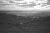 File thumbnail: DRAP_005_19.tif