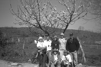 File thumbnail: DRAP_008_10.tif