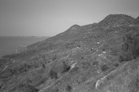 File thumbnail: DRAP_009_09.tif
