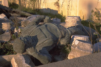 File thumbnail: DRAP_010_09.tif