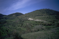 Image thumbnail: Panorama from south to north, looking west; site 004, possible archaic temple in zones 5/6