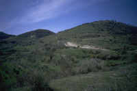 File thumbnail: DRAP_011_01.tif