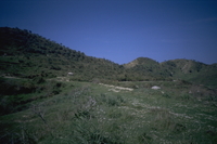 Image thumbnail: Panorama from south to north, looking west; site 004, possible archaic temple in zones 5/6