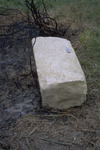 File thumbnail: DRAP_011_31.tif_