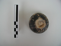 Image thumbnail: M00-04