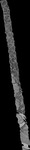 File thumbnail: Chiaps1_GLAS_l2s484_G1_0p33m_v1.tif