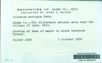 Dataset thumbnail: Dicranum montanum / Hedw.