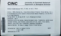 Dataset thumbnail: Bryhnia novae-angliae / (Sull. & Lesq.) Grout