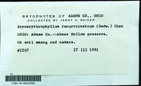 Dataset thumbnail: Bryoerythrophyllum recurvirostrum