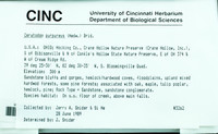 File thumbnail: CINC-B-0013274.jpg