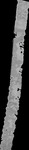File thumbnail: Norte_GLAS_l0s397_G1_0p33m_v1.tif