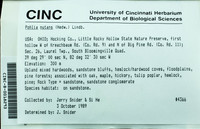 File thumbnail: CINC-B-0018293.jpg
