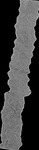 File thumbnail: OutYuc_GLAS_l1s435_G1_0p33m_v1.tif
