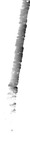 File thumbnail: OutYuc_GLAS_l1s450_DEM_0p33m_v1.tif