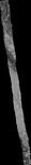File thumbnail: Chiaps1_GLAS_l2s480_G1_0p33m_v1.tif
