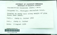 File thumbnail: CINC-B-0017148.jpg
