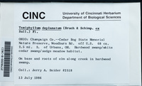 File thumbnail: CINC-B-0028612.jpg
