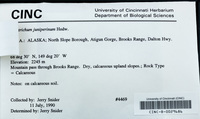 File thumbnail: CINC-B-0029686_a.jpg