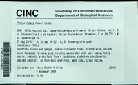 File thumbnail: CINC-B-0018333.jpg