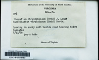 Dataset thumbnail: Campylium chrysophyllum / (Brid.) Lange