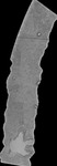 File thumbnail: North2_GLAS_l2s437_G1_0p33m_v1.tif