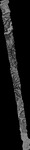 File thumbnail: Chiaps1_GLAS_l2s478_G1_0p33m_v1.tif