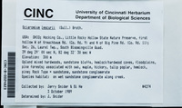 File thumbnail: CINC-B-0024823.jpg