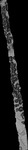 File thumbnail: Chiaps1_GLAS_l2s481_G1_0p33m_v1.tif